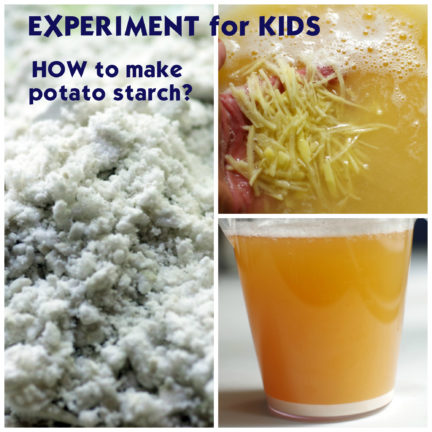 banana starch experiment