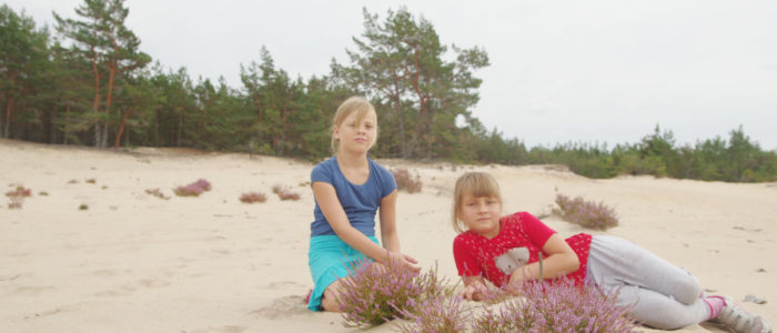 Kaibaldi liivik