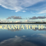 Blogiaasta top 10